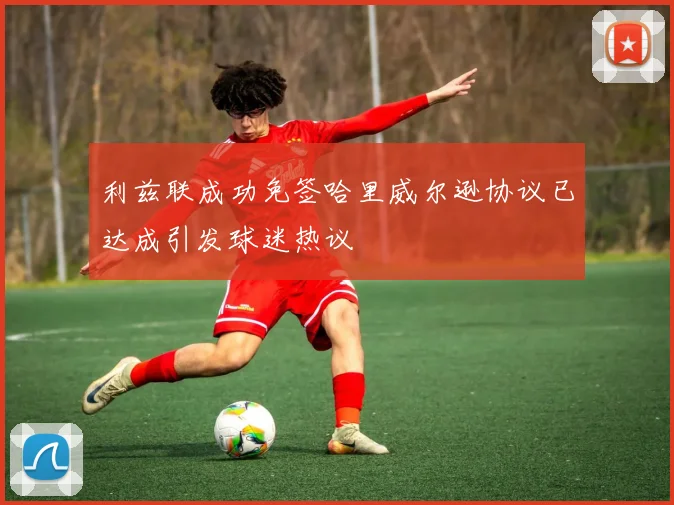 利兹联成功免签哈里威尔逊协议已达成引发球迷热议
